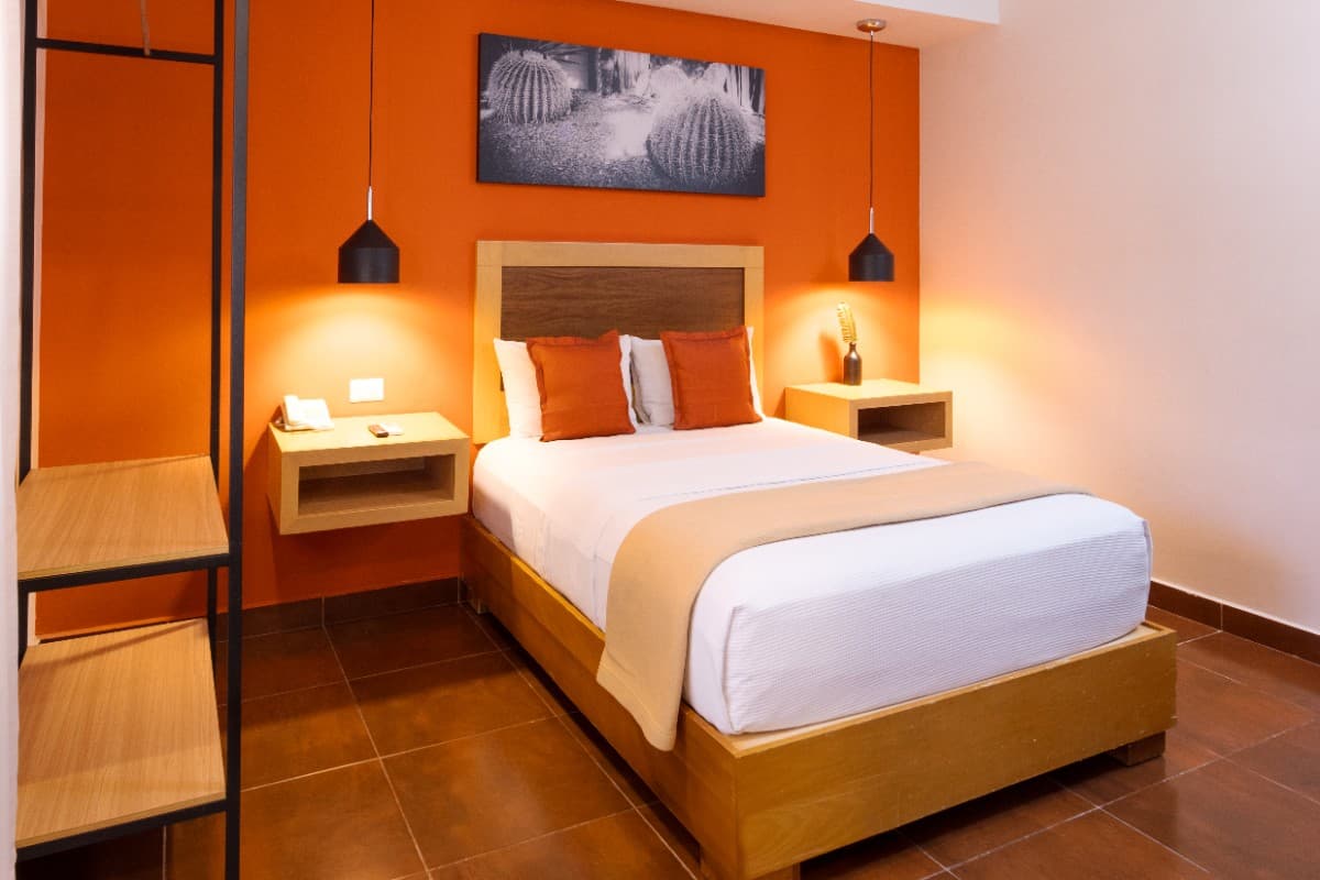 Estandar Sencilla imagen 2